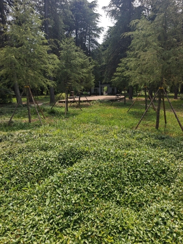 焦山景区-抗英炮台遗址