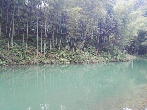 峨城山旅行图片 2