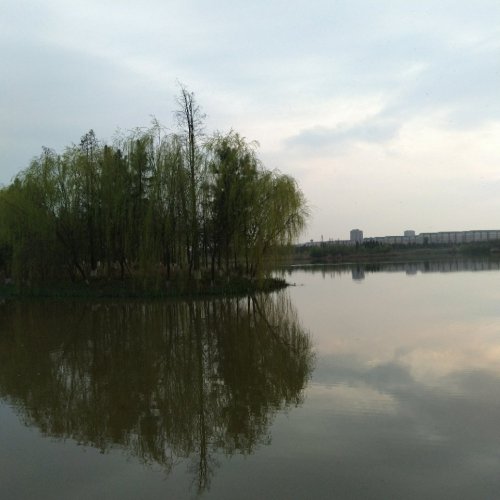 湄湘河湿地公园旅行图片 3