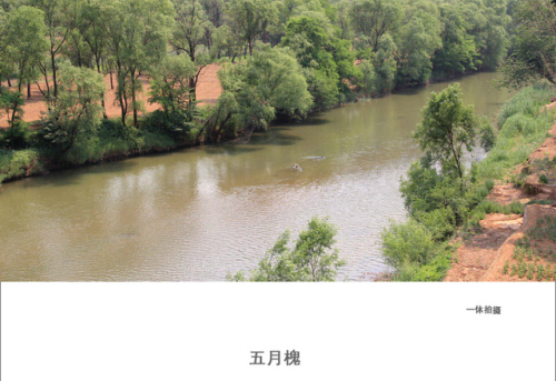 红石坪旅行图片 1