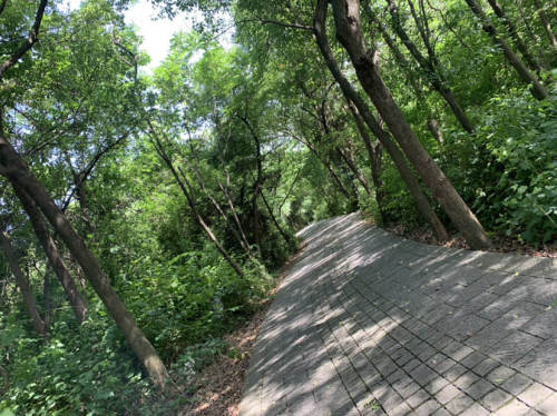 龙山公园旅行图片 3