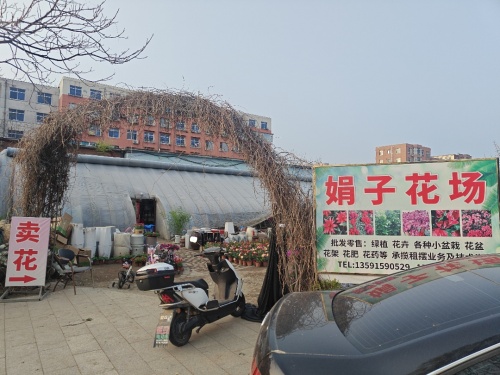 东山公园花窖(娟子花场)