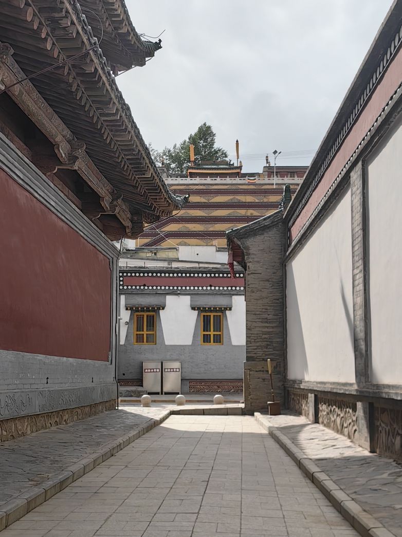 塔尔寺-大金瓦寺实景照片