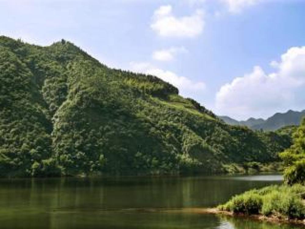 钱江源国家森林公园景点图片