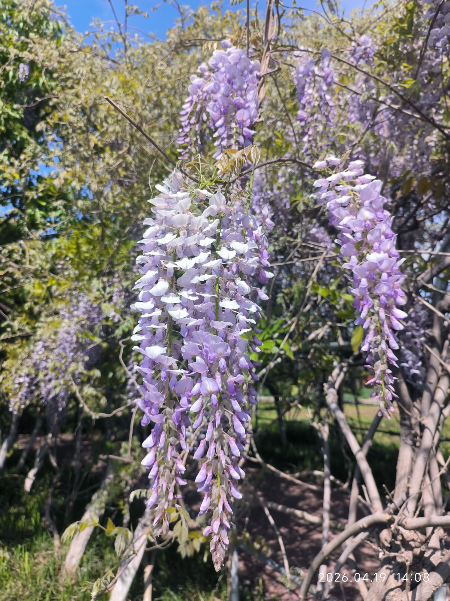 江苏三台山国家森林公园-镜花溪