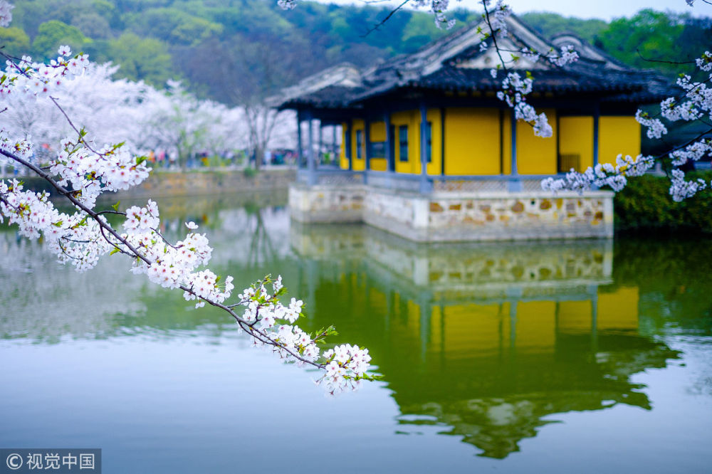 太湖鼋头渚风景区景点图片