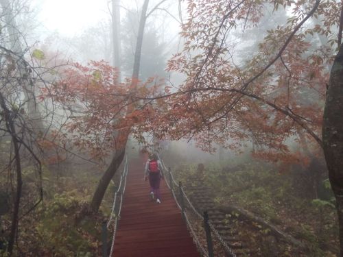 虎峰岭簸箕崴子景区旅行图片 2