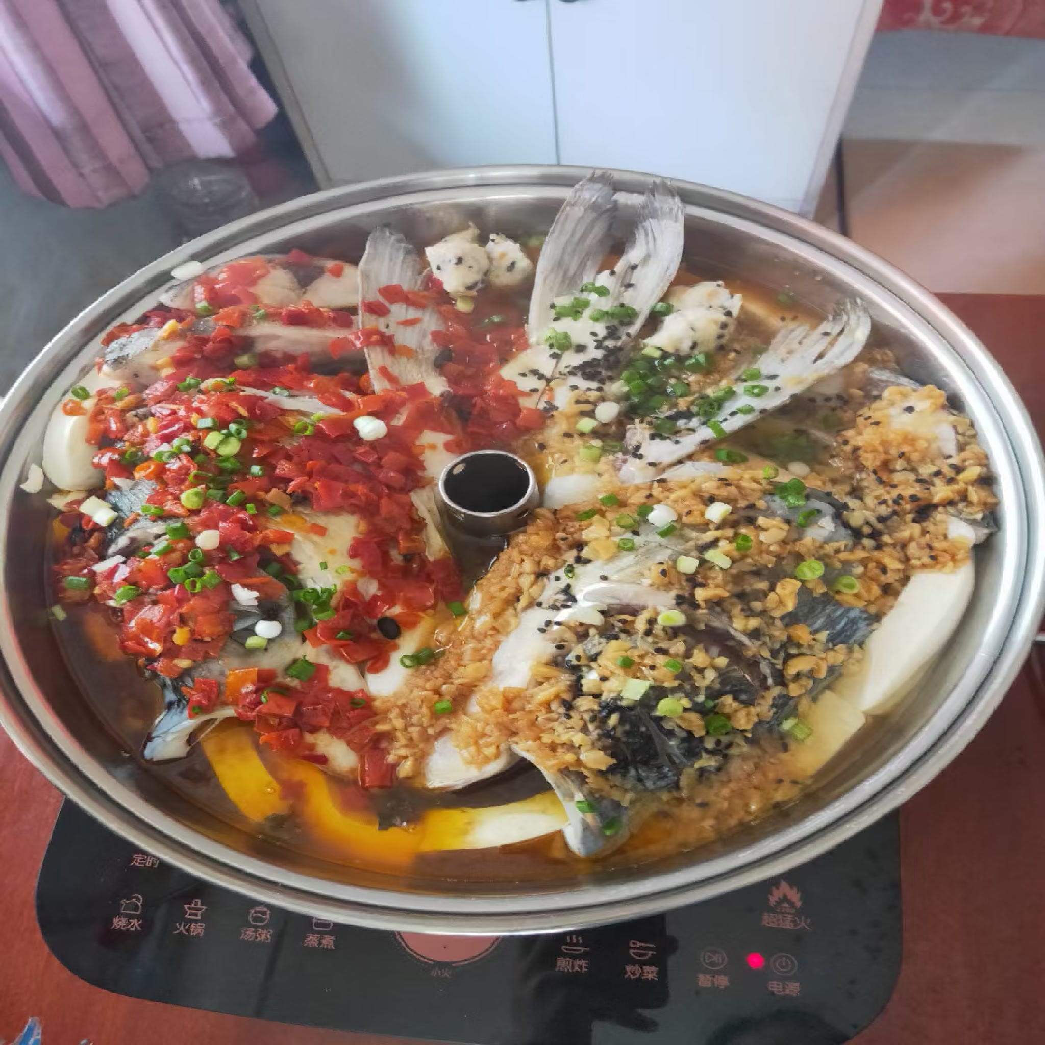 奇缘我家鱼头