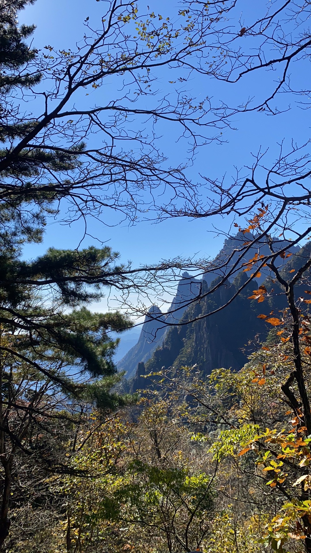 巴灵寺实景照片