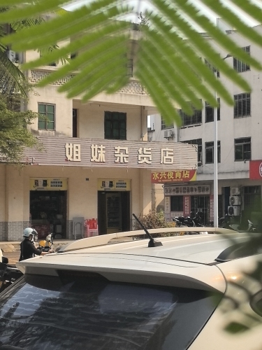 姐妹杂货店