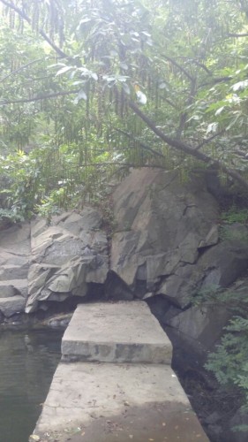 雕窝峪生态旅游风景区旅行图片 2