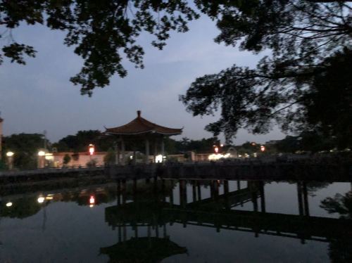 龙岗公园旅行图片 1