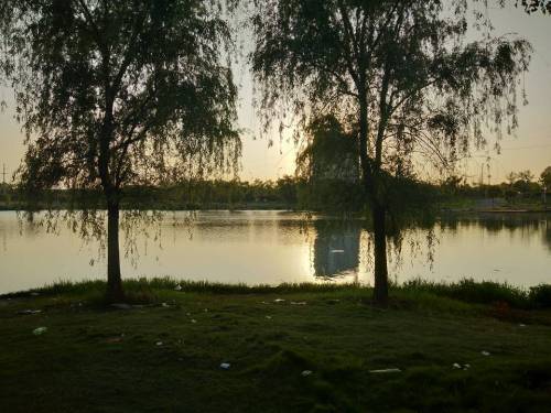 莲花公园旅行图片 3