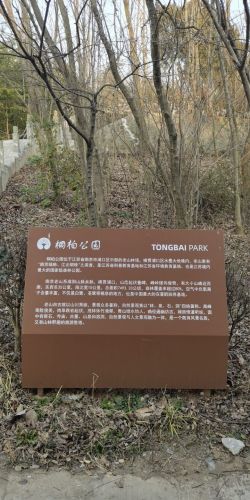 桐柏公园