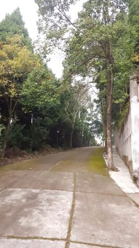 高山森林公园旅行图片 1