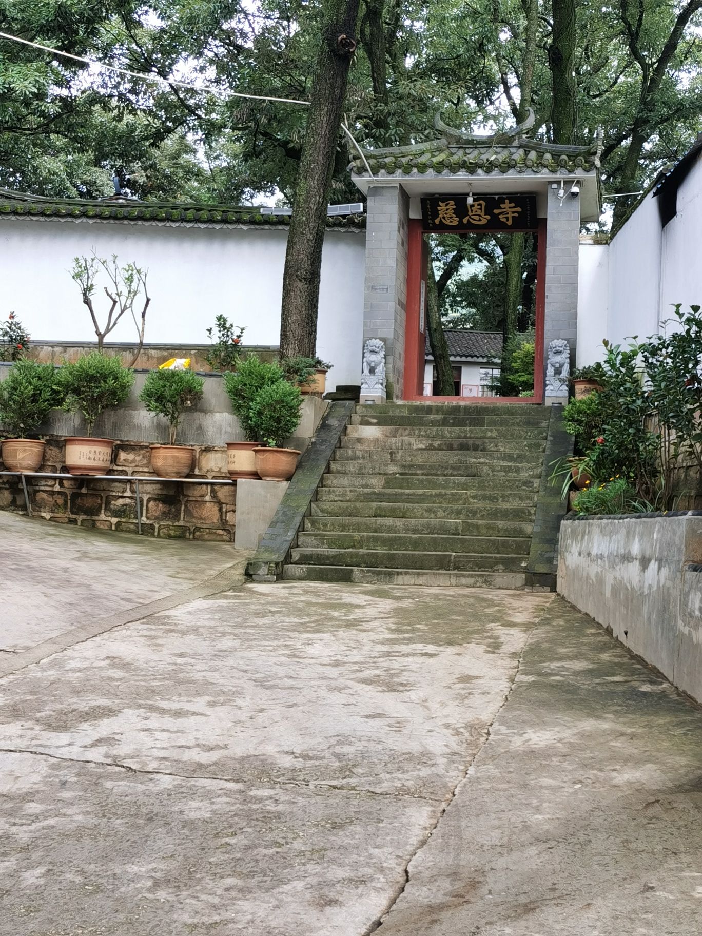 慈恩寺实景照片
