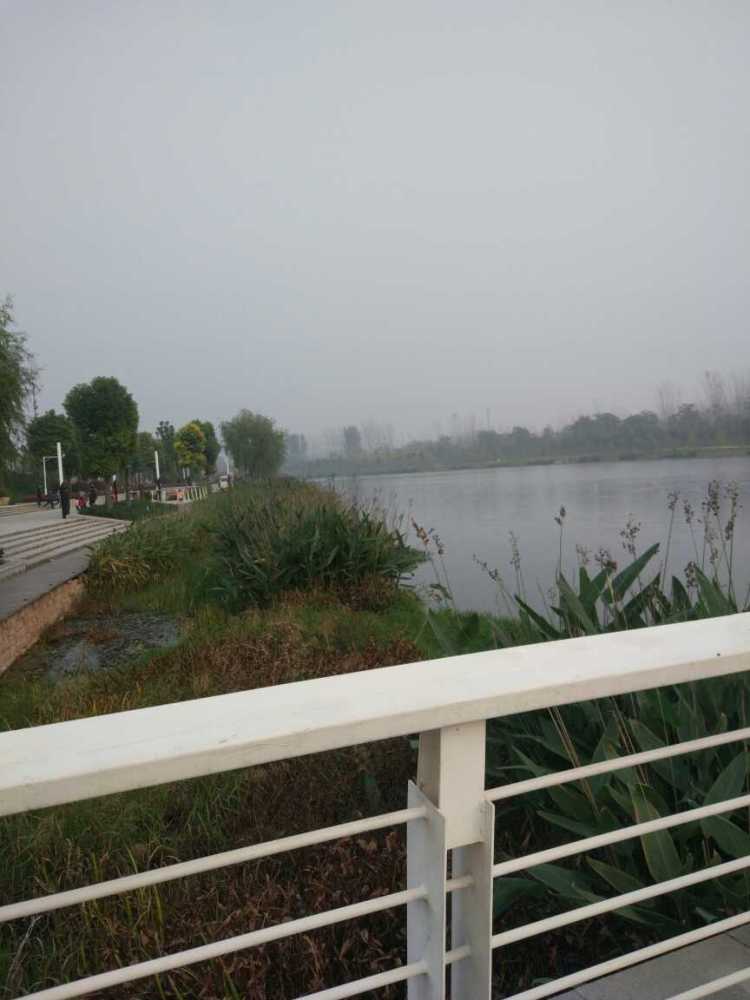 秋湖湿地公园景点图片