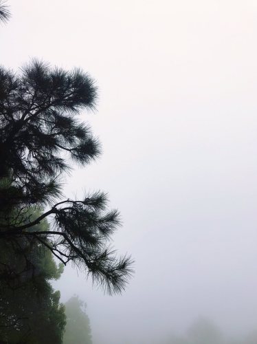 芙蓉山森林公园旅行图片 2