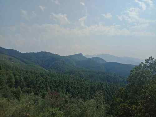 乌龙山旅行图片 2