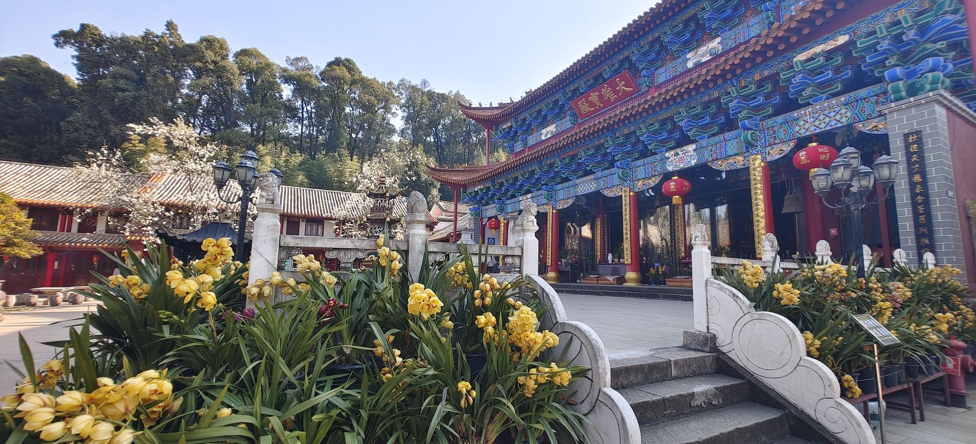 Bamboo Temple