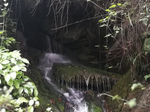 白龙洞旅行图片 1