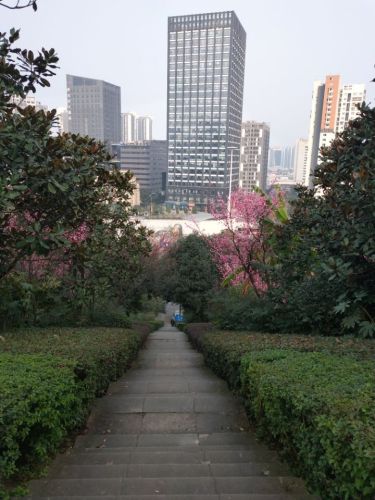 天宫殿公园(泰山大道中段)旅行图片 3