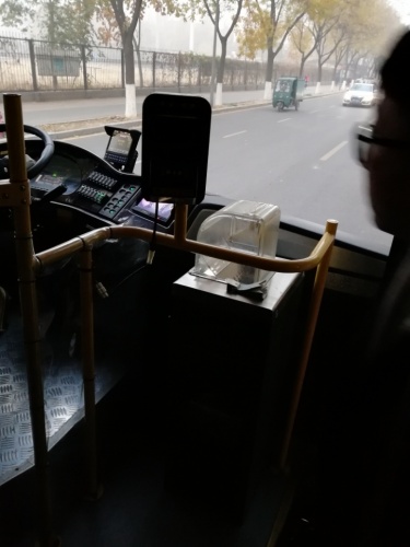 光明公园旅行图片 2