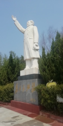 留园旅行图片 3
