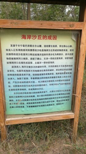 翡翠岛(不对外开放)旅行图片 2