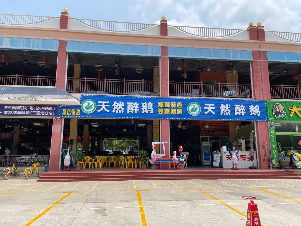 天然醉鹅(龙兴店)