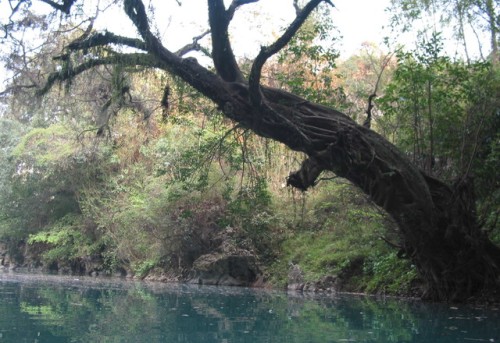 盘阳河风光旅行图片 3