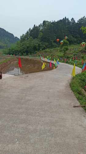 大竹动植物园旅行图片 2