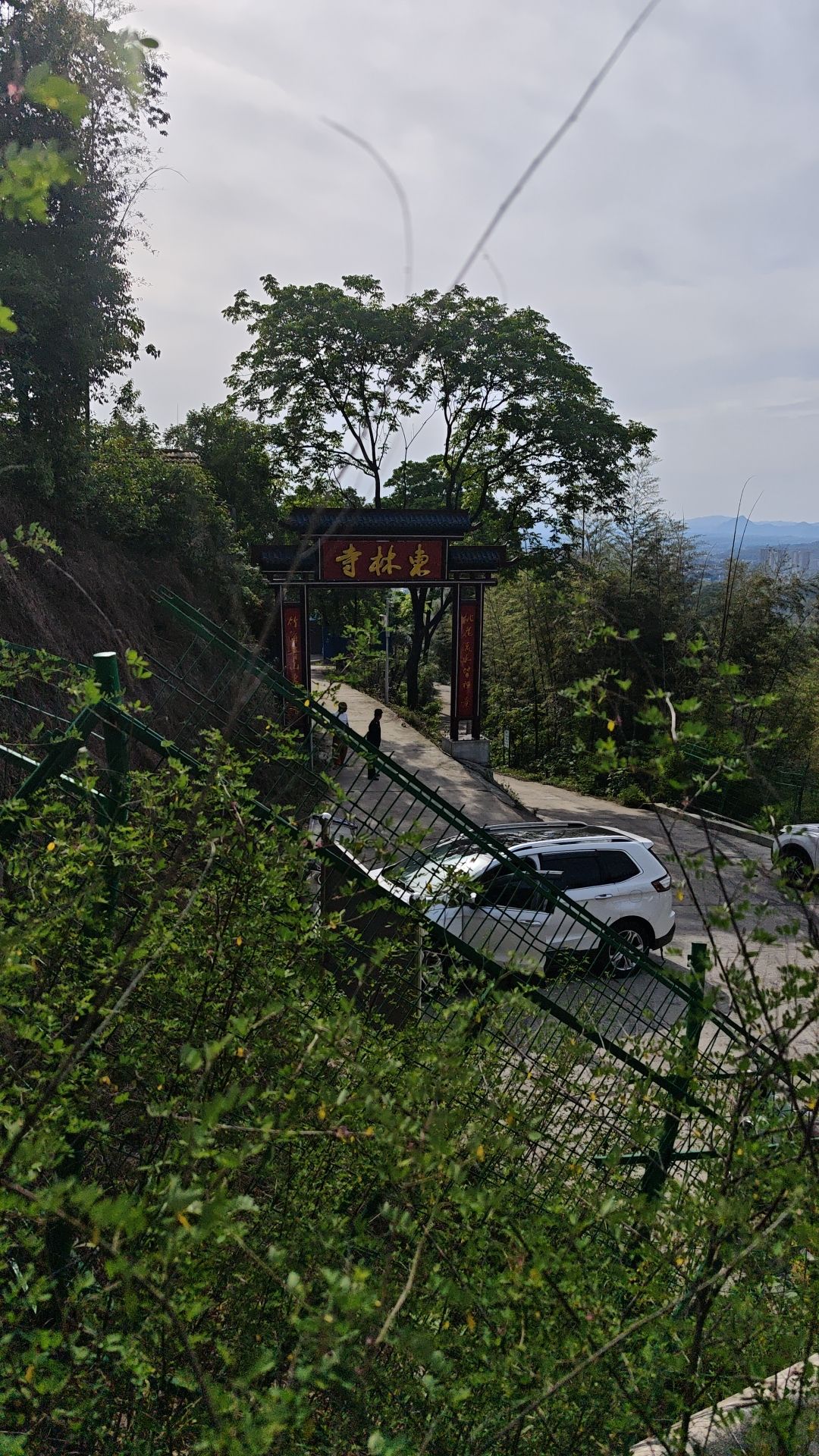 桃江东林寺实景照片