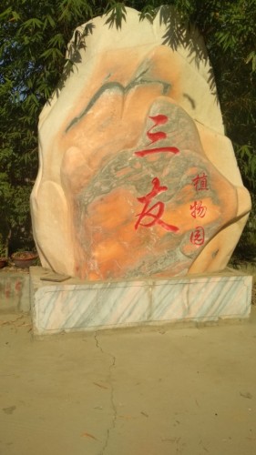 三友植物园旅行图片 1
