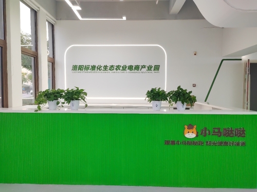 洛阳标准化生态农业电商产业园实景图（2）