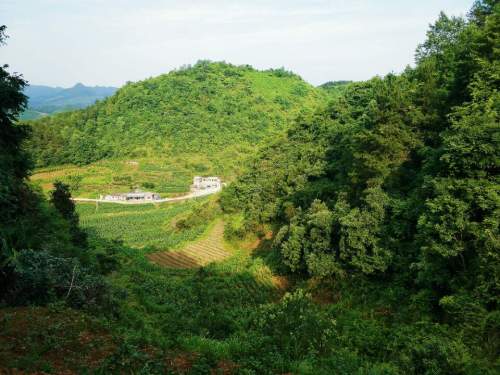 天坪组旅游景点旅行图片 1