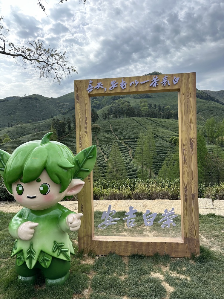 白茶原·安吉白茶观景平台景点图片