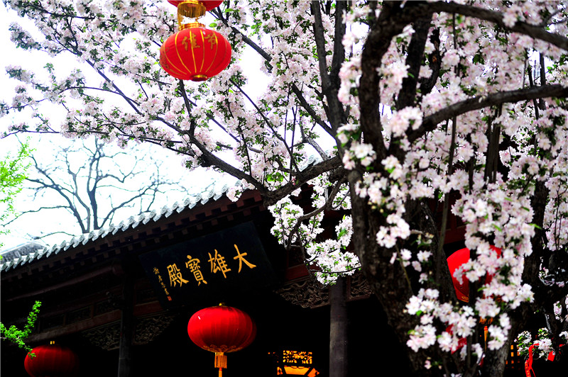 灵岩寺景区实景照片