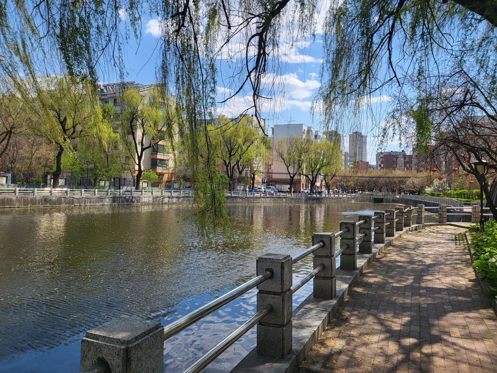 跃马湖公园