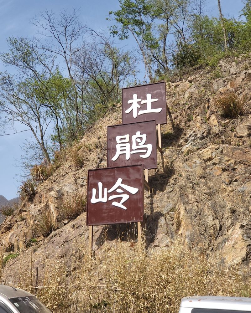 杜鹃岭景点图片