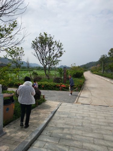 竹洲水乡旅行图片 3