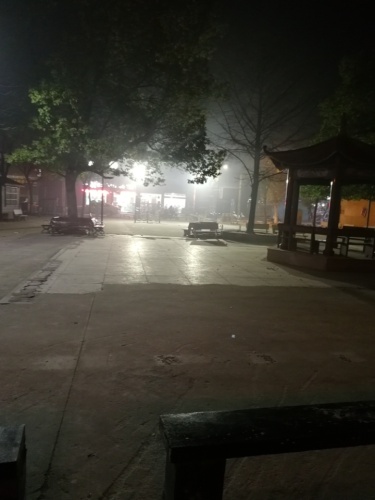 织里人民公园旅行图片 1
