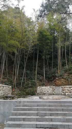 瓢泉(辛弃疾故居)旅行图片 2