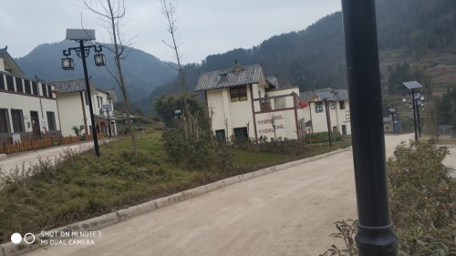 新华森林公园旅行图片 2