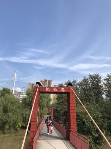 白鹭湿地公园旅行图片 1