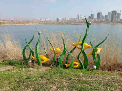 老鼋塘湿地公园旅行图片 3