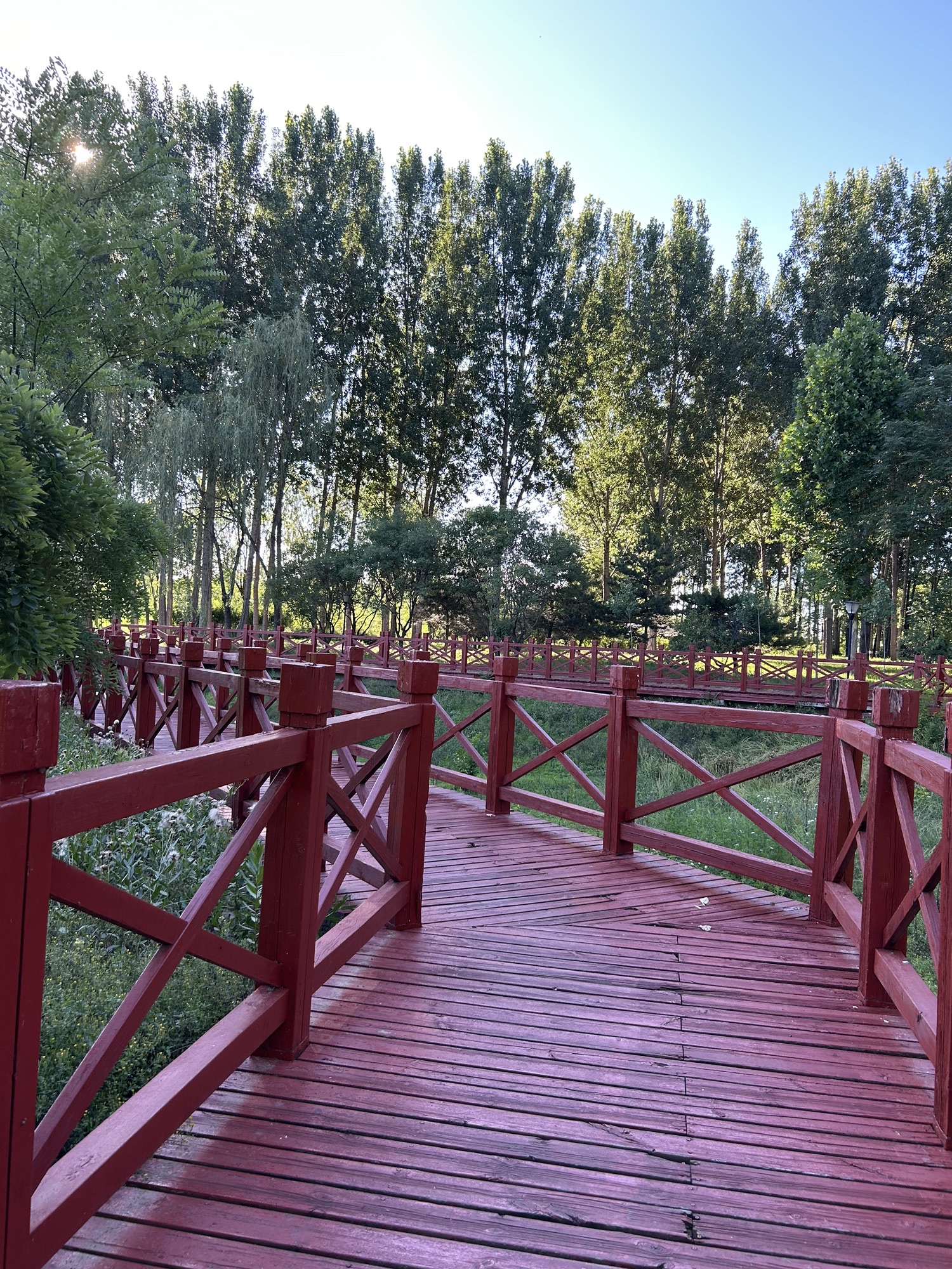 鲍邱河公园