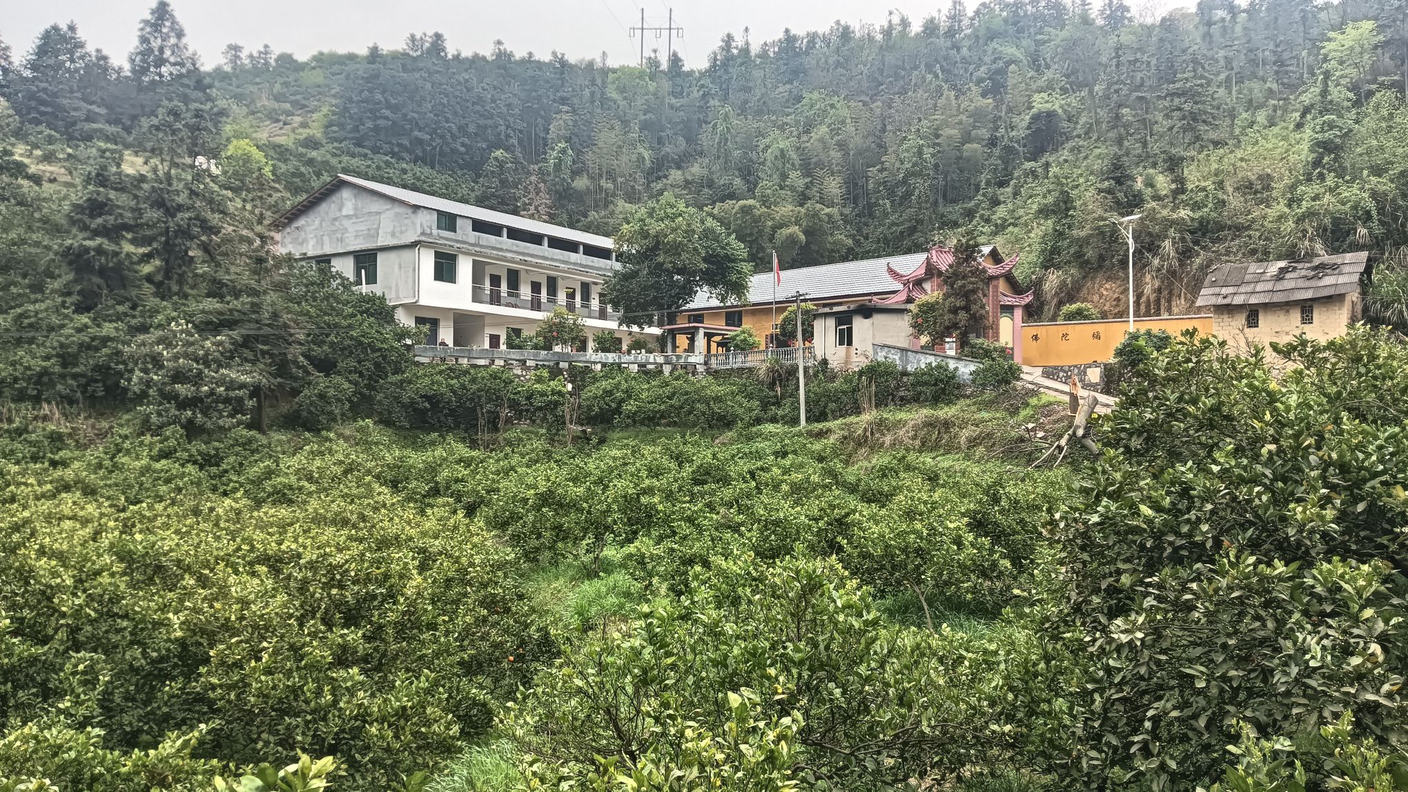 天竺仙寺实景照片