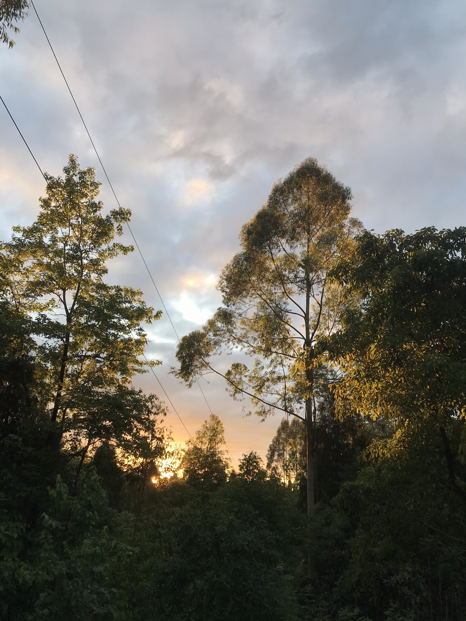 脊骨寺实景照片