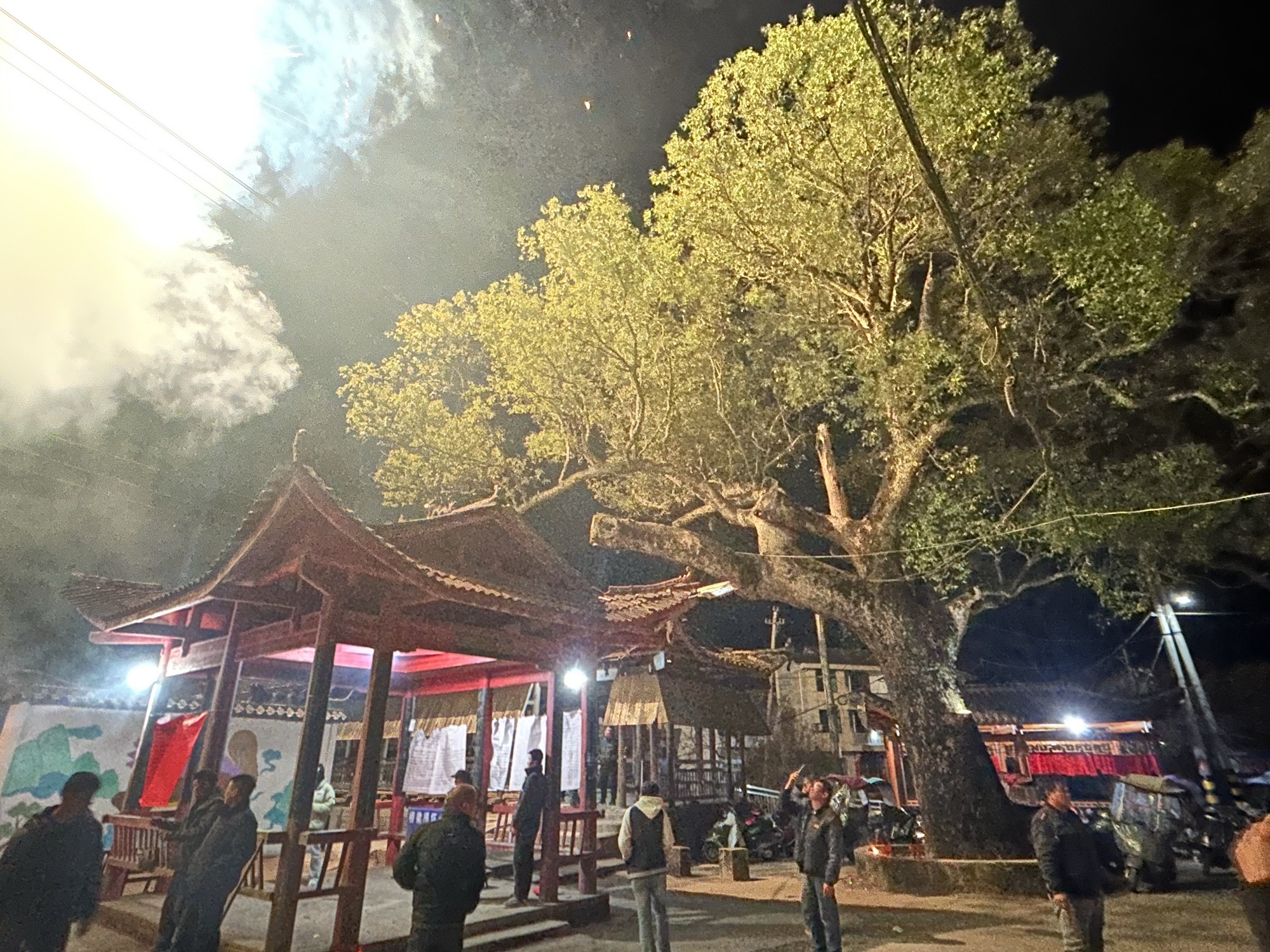 澄浒东平庙实景照片